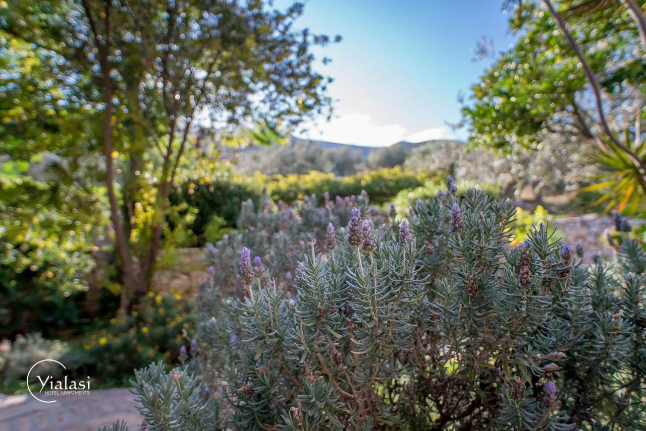 Yialasi Hotel Epidaurus Buitenkant foto