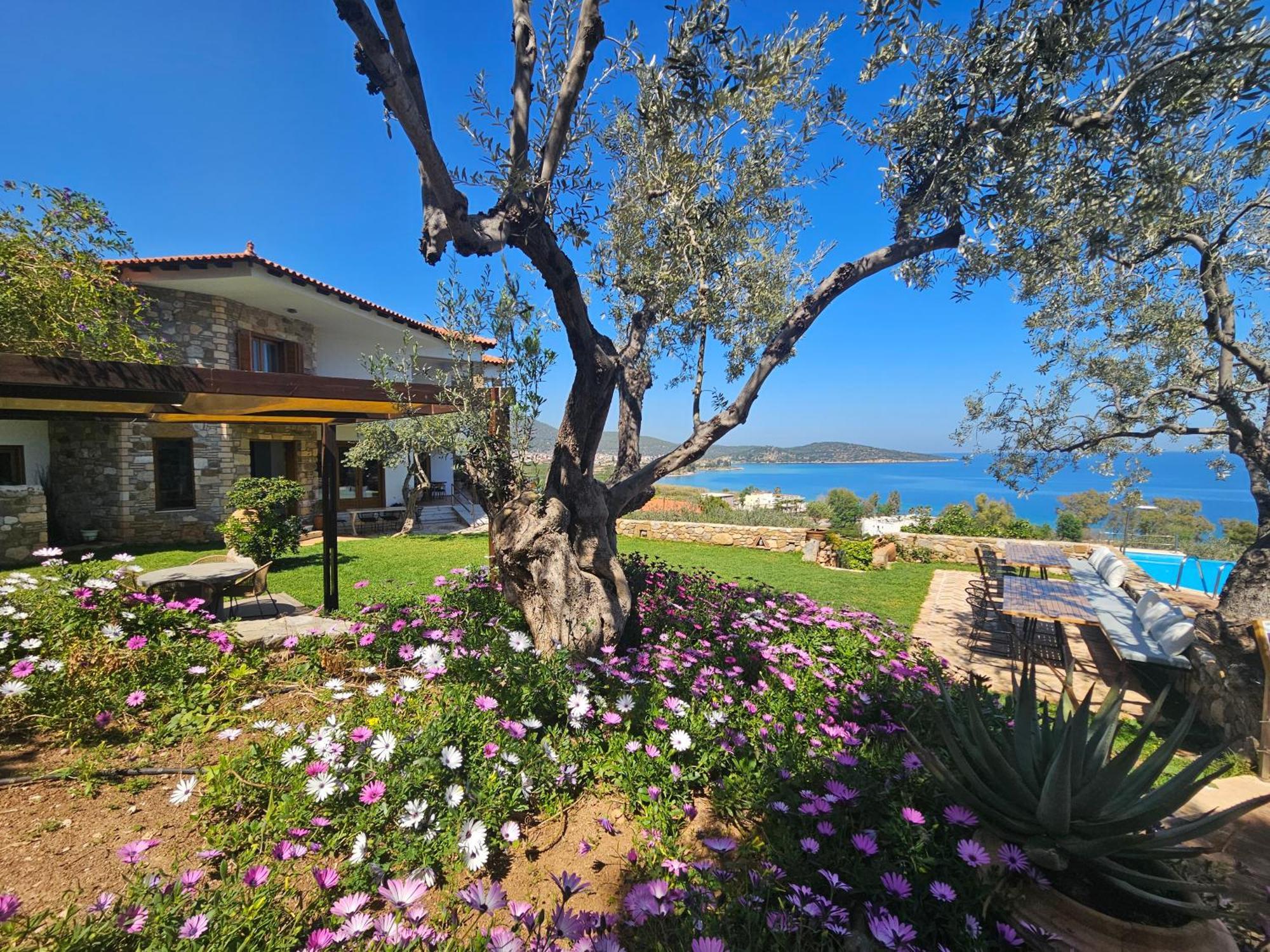 Yialasi Hotel Epidaurus Buitenkant foto
